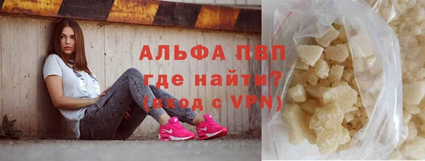 круглые Гусев