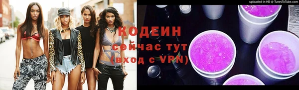 круглые Гусев
