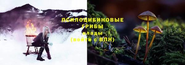 круглые Гусев
