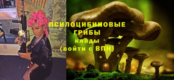 спиды Гусь-Хрустальный