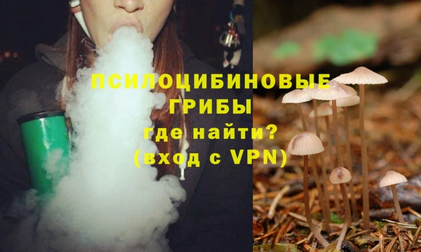 ГАЛЛЮЦИНОГЕННЫЕ ГРИБЫ Гусиноозёрск