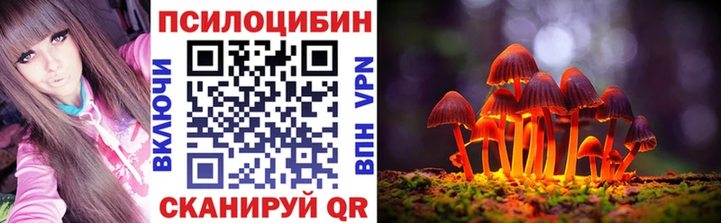 Галлюциногенные грибы Psilocybine cubensis Дмитриев