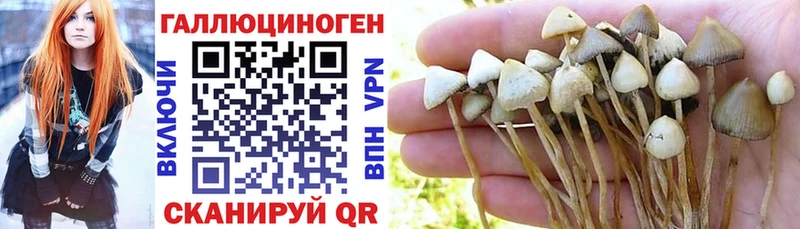 Псилоцибиновые грибы MAGIC MUSHROOMS цена наркотик Дмитриев